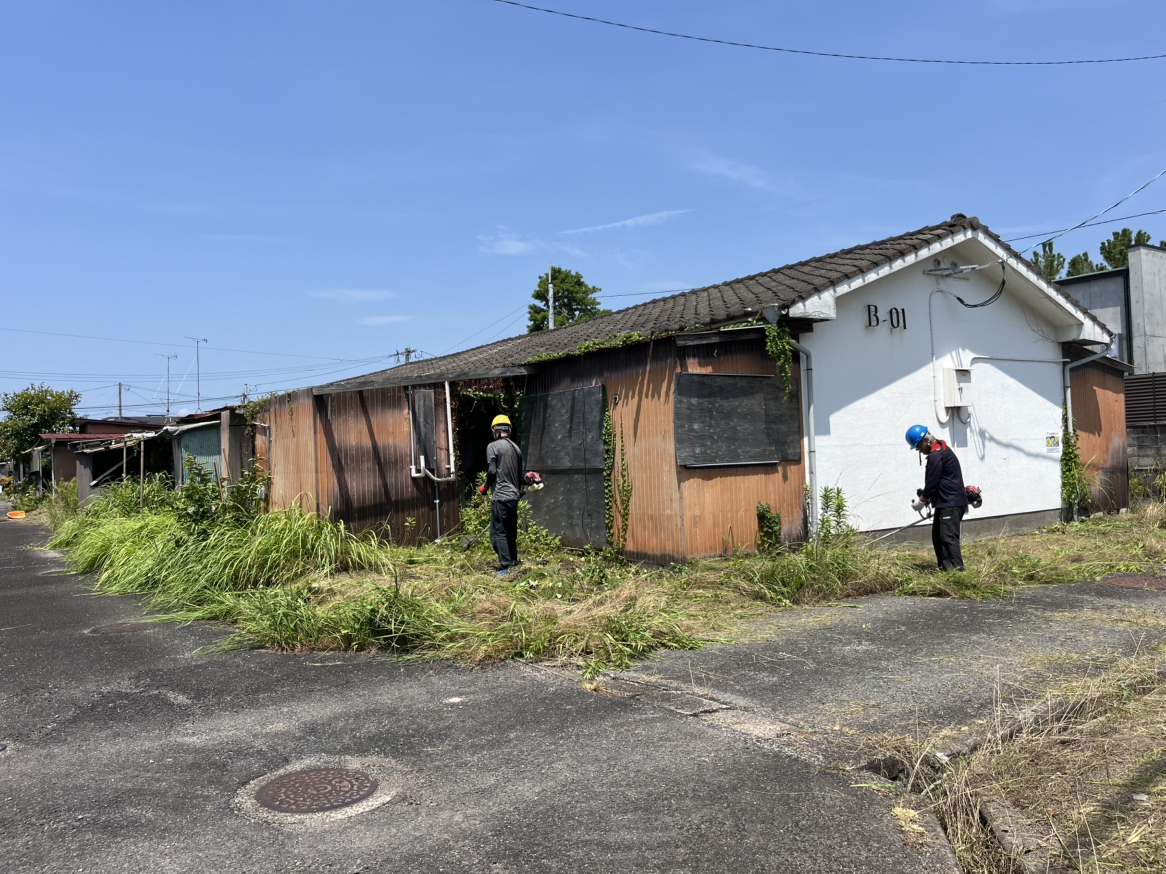 安住団地除草