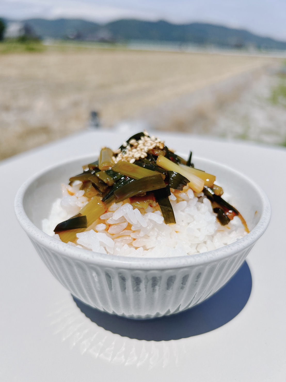 ごはん泥棒と白ごはん