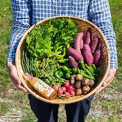野菜とドレッシング