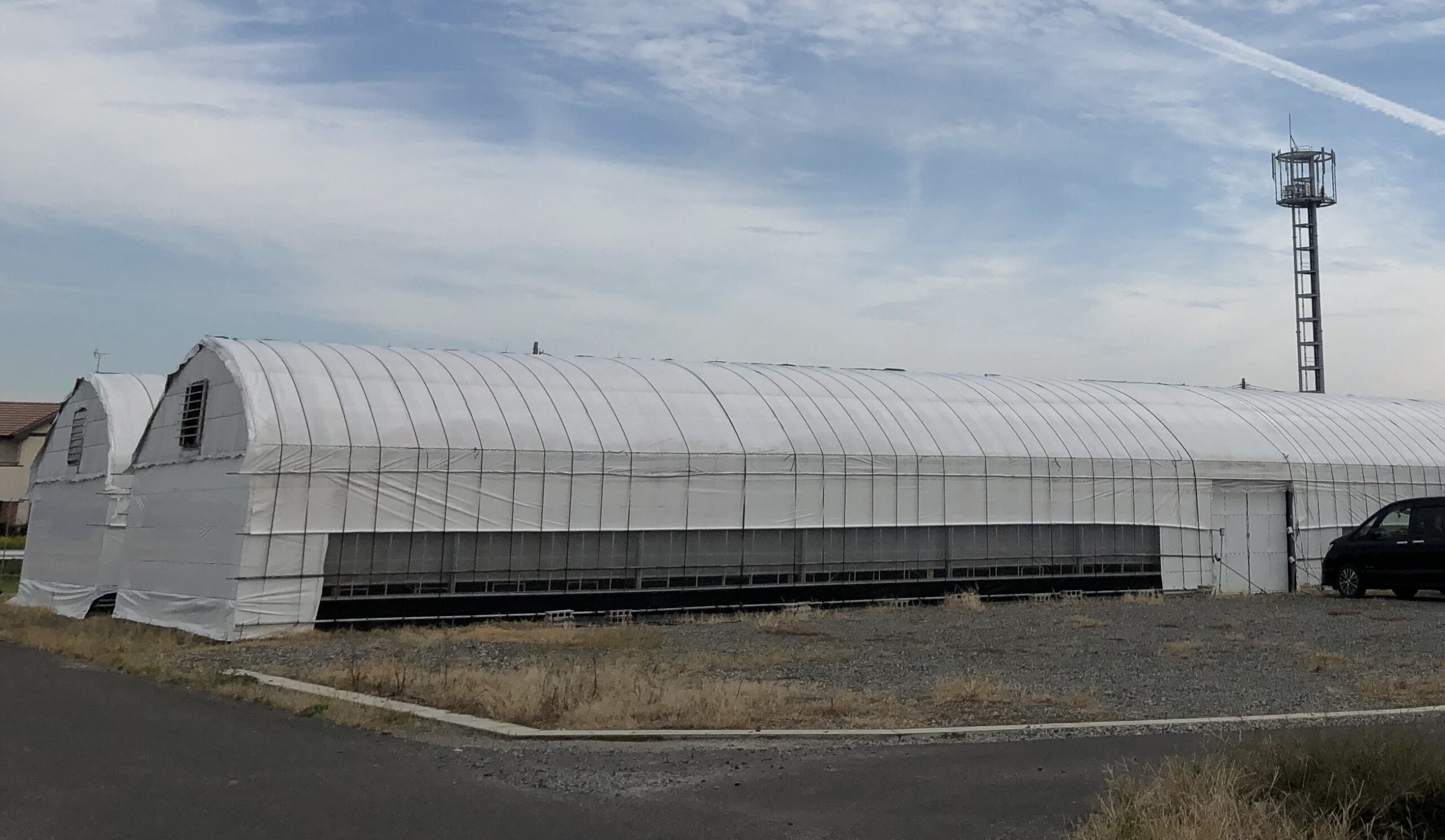 きくらげ・しいたけ用ハウス