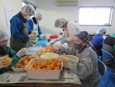 みかんの皮むき