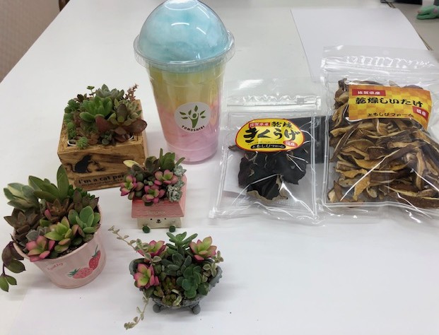 乾燥しいたけ・きくらげ・多肉植物・綿菓子