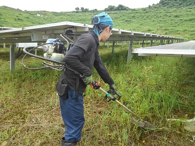 除草作業