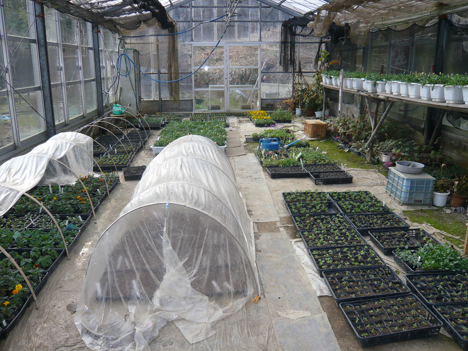 農家様での施設外就労